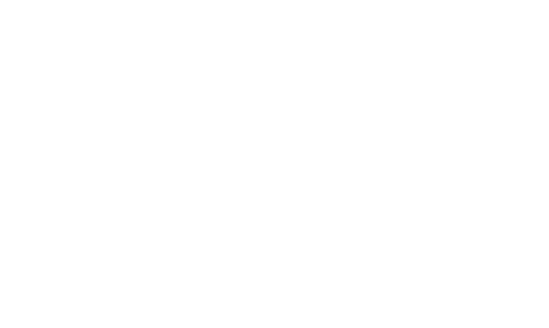 Onward Ticket