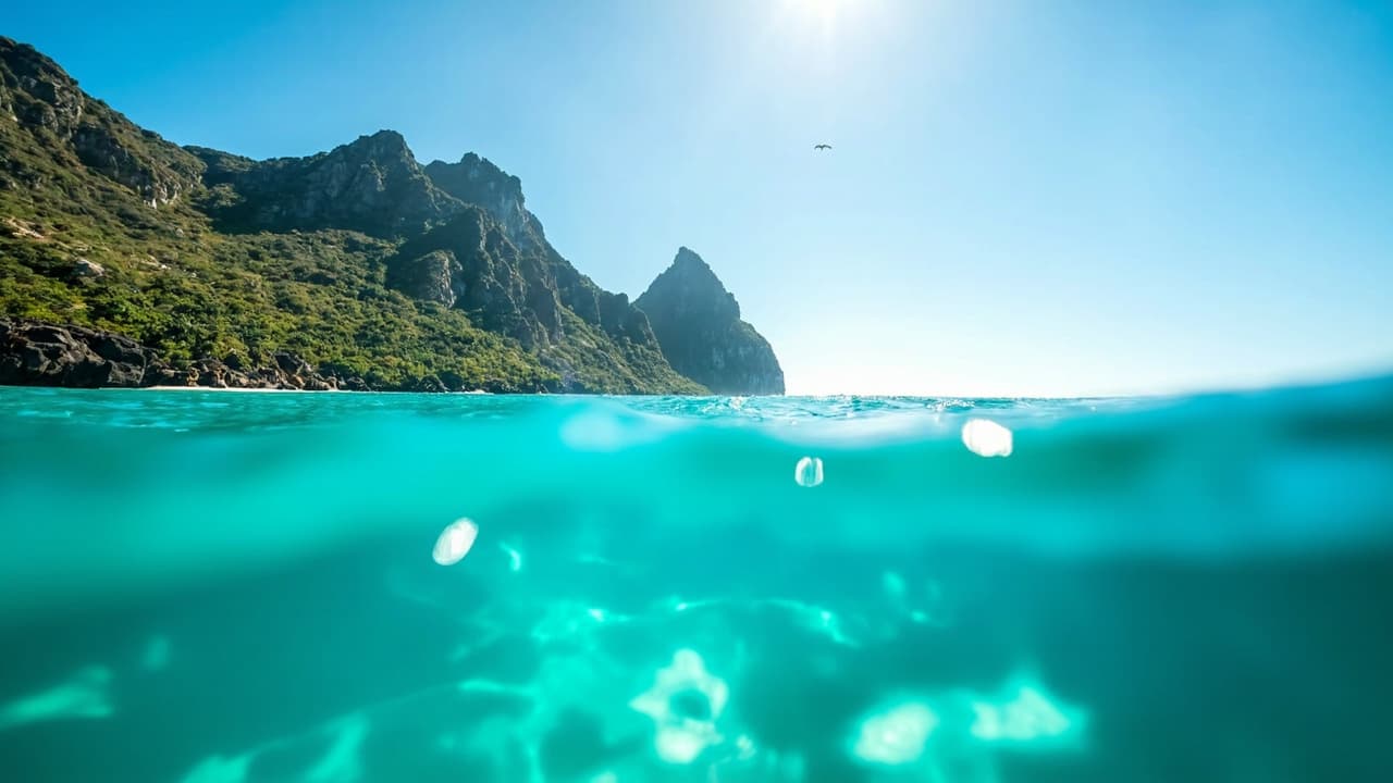Onward Ticket Saint Lucia: 2026 Rules & How to Get One