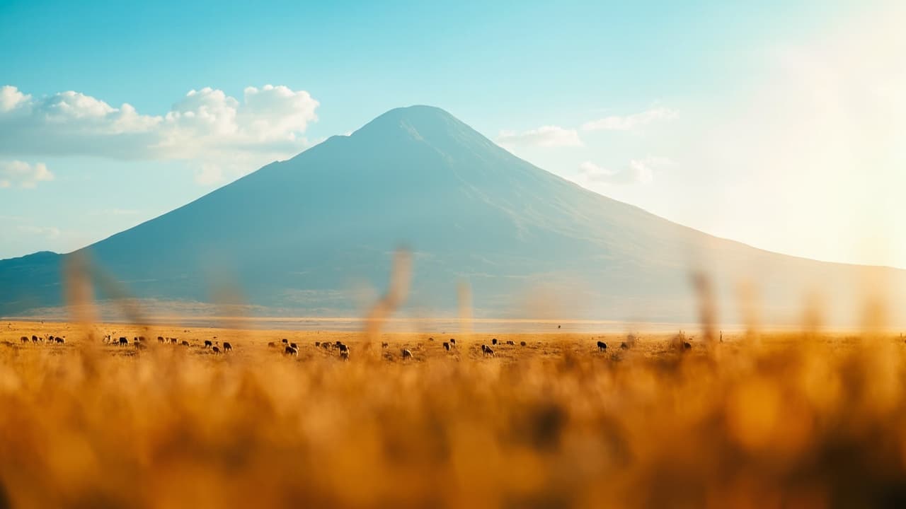 Onward Ticket Tanzania: 2026 Rules & How to Get One