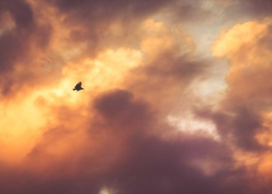 Validity periods illustration