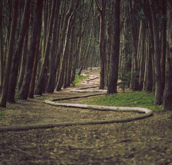 Refund policy illustration